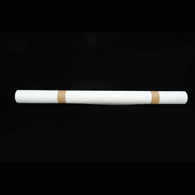 Whole roll of PA hot melt adhesive web